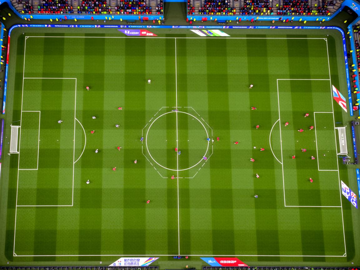 开云体育app入口-女子200蝶两强之争，谁掌控节奏？，女子200米蝶泳百度百科  第2张